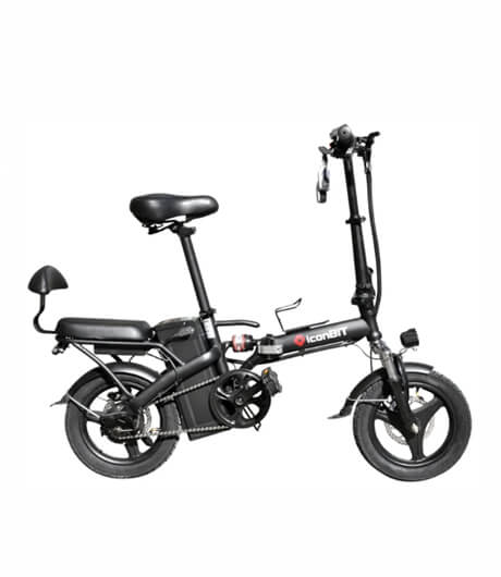 iconBIT E-Bike K202